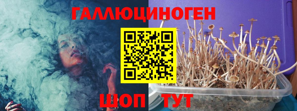 Псилоцибиновые грибы мухоморы Анапа
